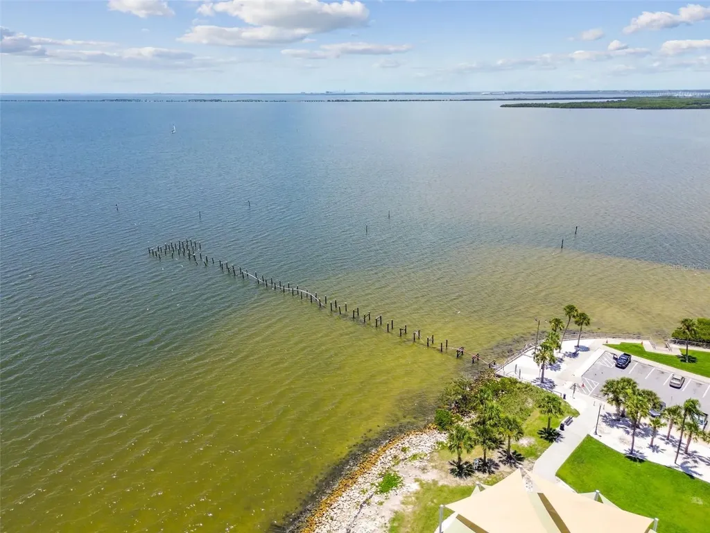 1709 La Forest Avenue Safety Harbor FL 34695