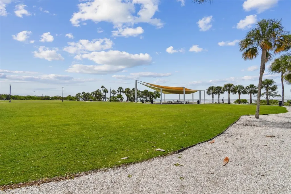 1709 La Forest Avenue Safety Harbor FL 34695