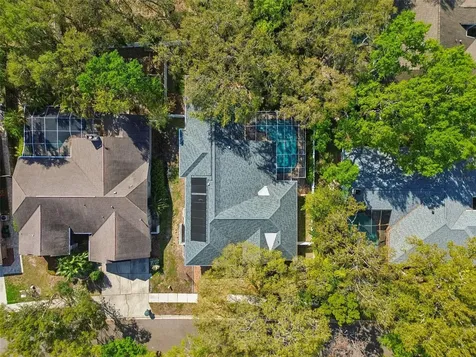 1709 La Forest Avenue Safety Harbor FL 34695