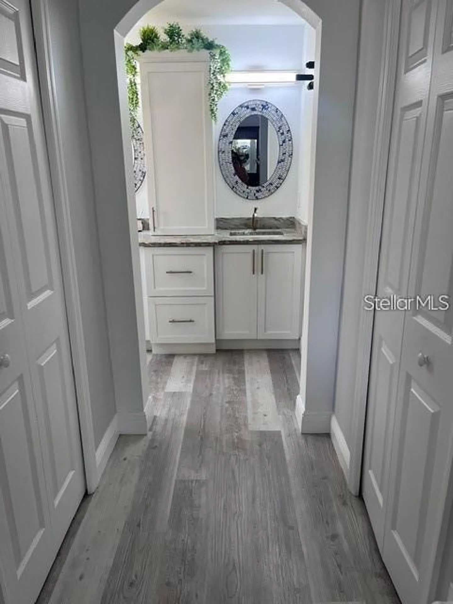 5519 Turtle Crossing Loop Tampa FL 33625