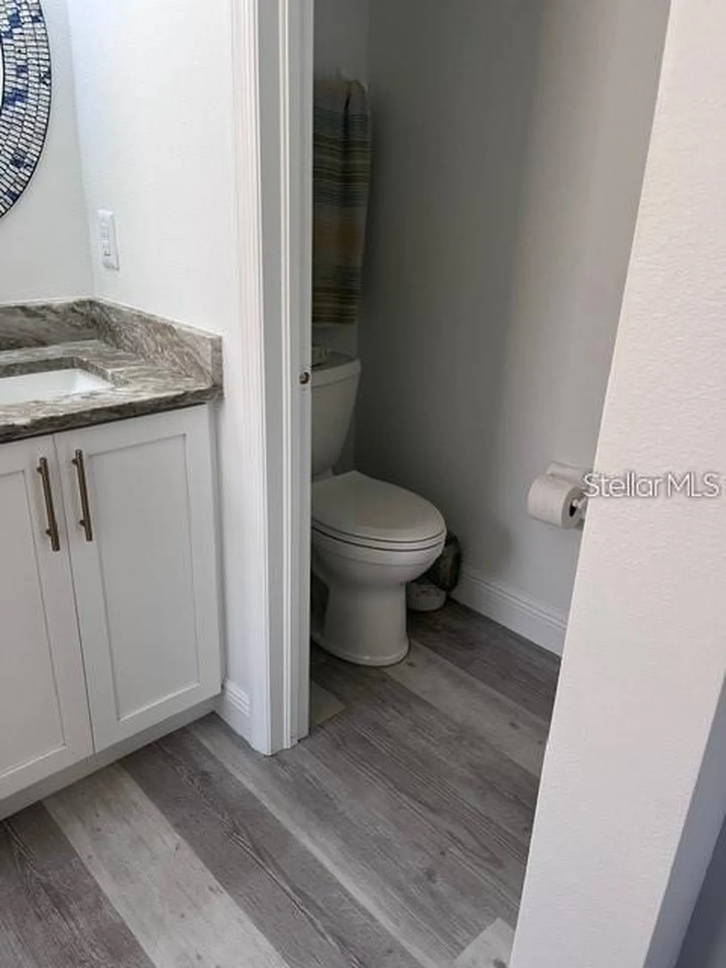 5519 Turtle Crossing Loop Tampa FL 33625