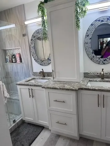5519 Turtle Crossing Loop Tampa FL 33625