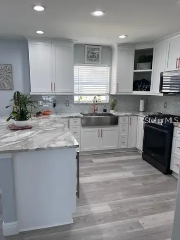 5519 Turtle Crossing Loop Tampa FL 33625