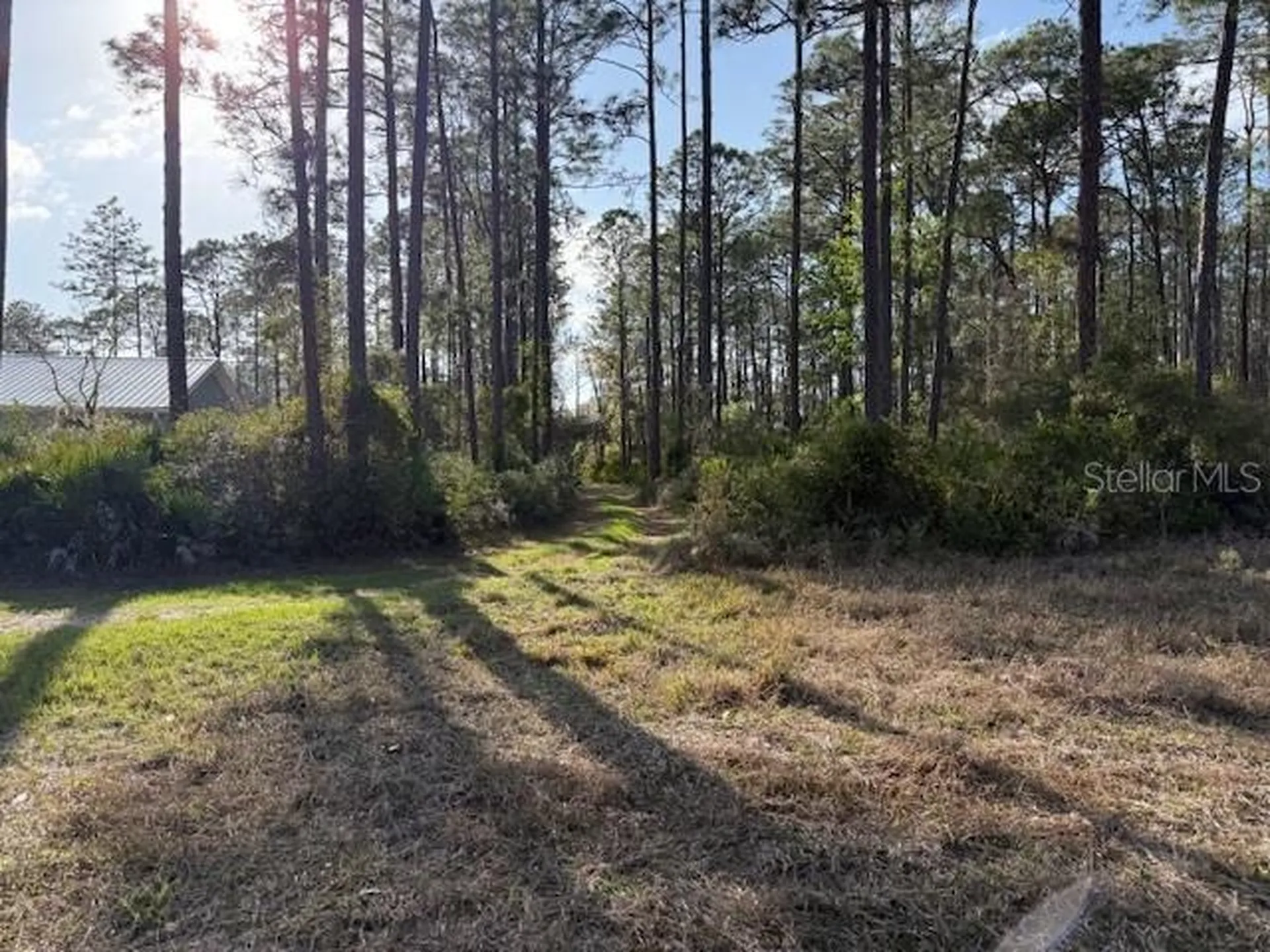 Tbd Us 19 Inglis FL 34449