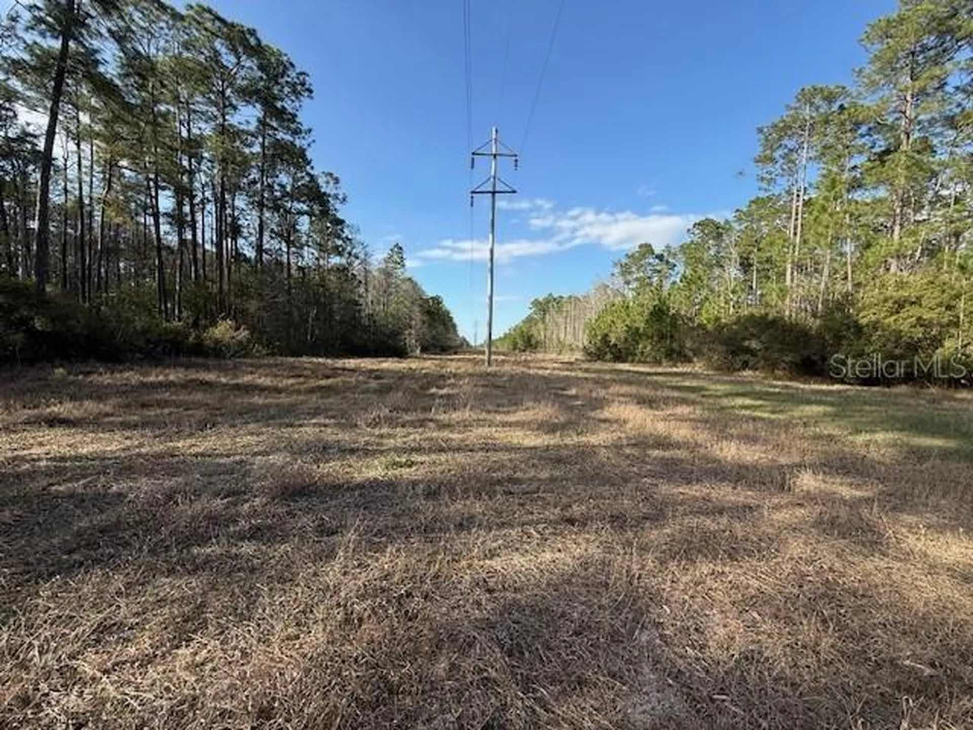 Tbd Us 19 Inglis FL 34449