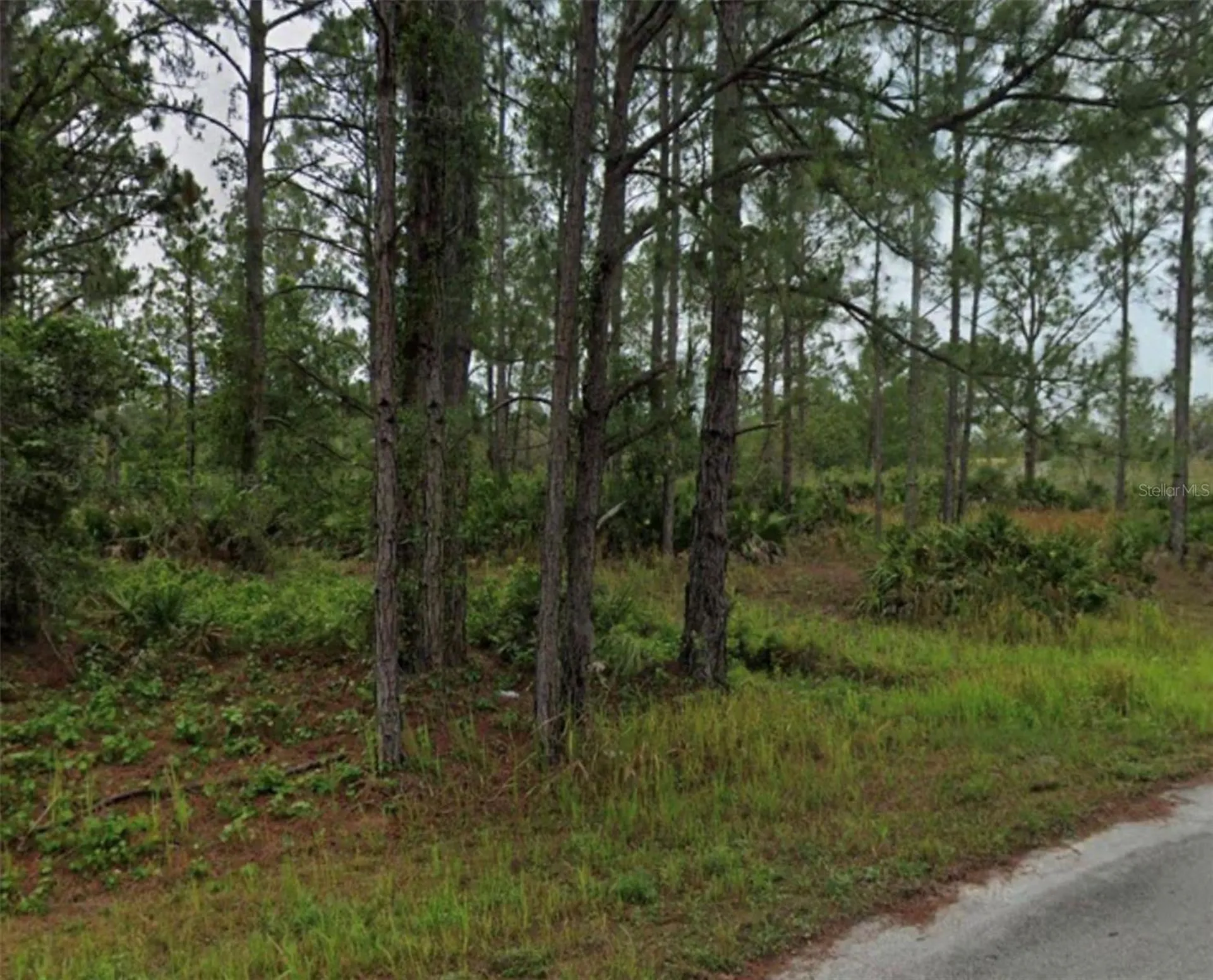 5639 San Juan Drive Sebring FL 33872