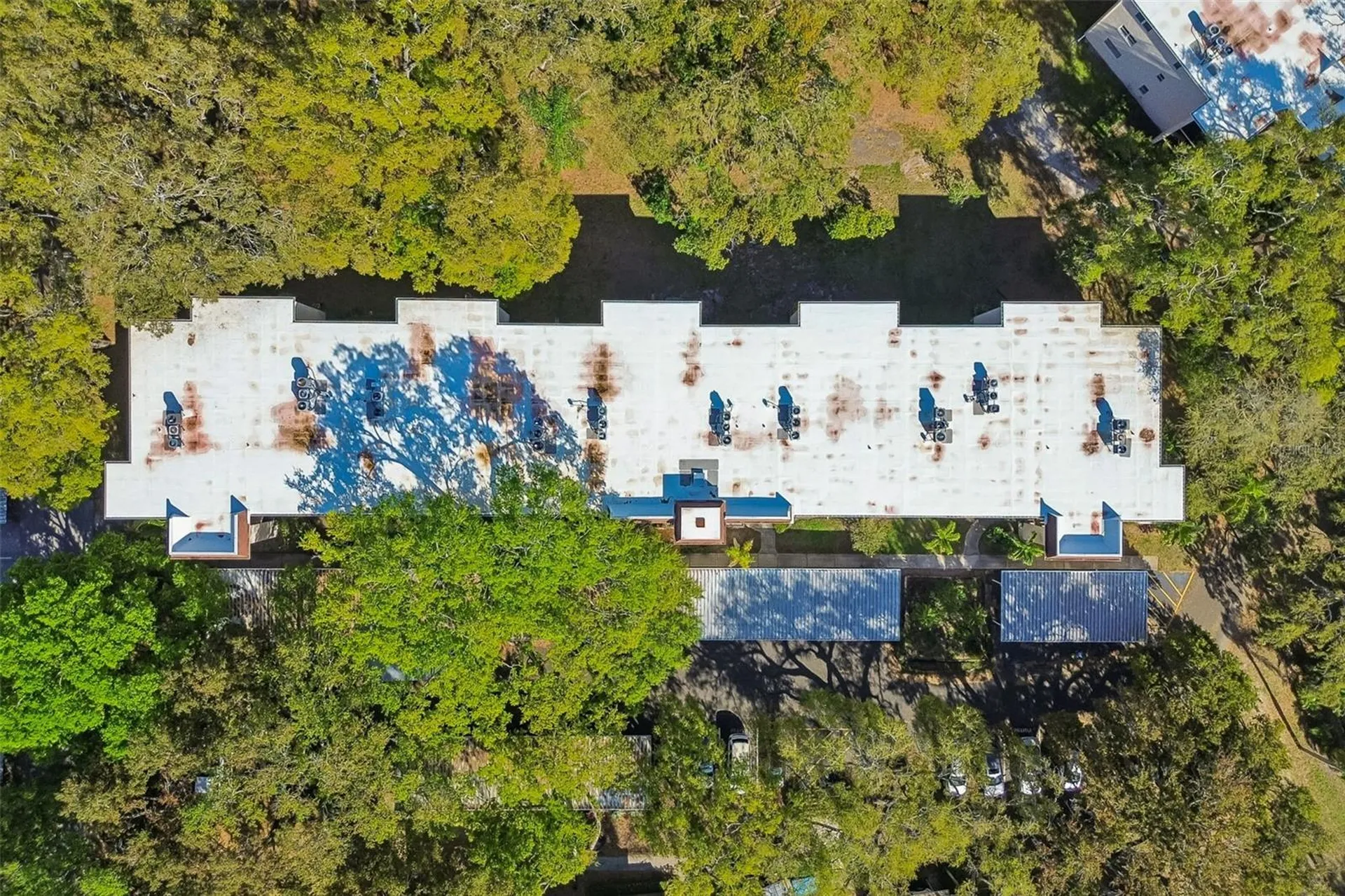 865 Virginia Court Dunedin FL 34698