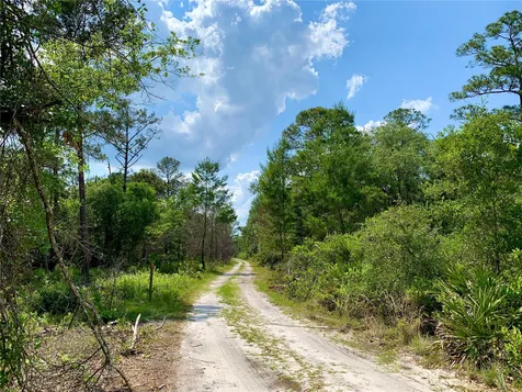 30260 W Thyme Avenue Eustis FL 32736