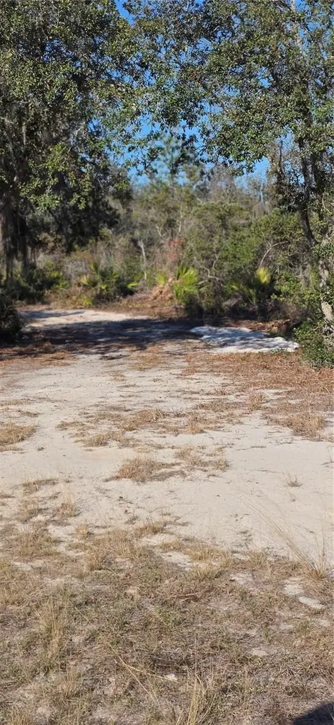 Groveland FL 34736