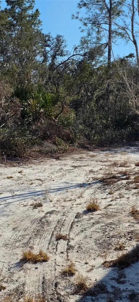 Groveland FL 34736