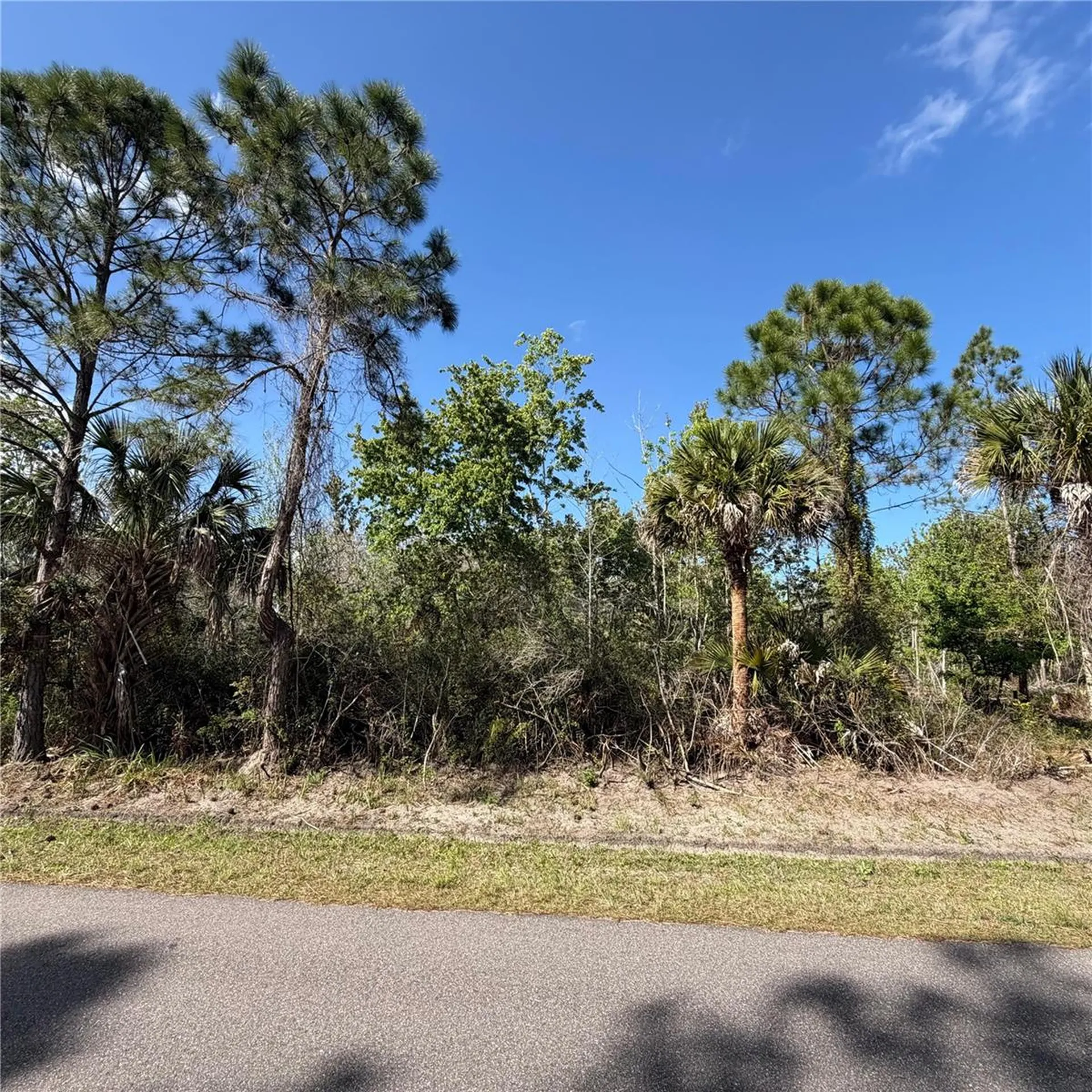 297 Frazer Street SW Palm Bay FL 32908