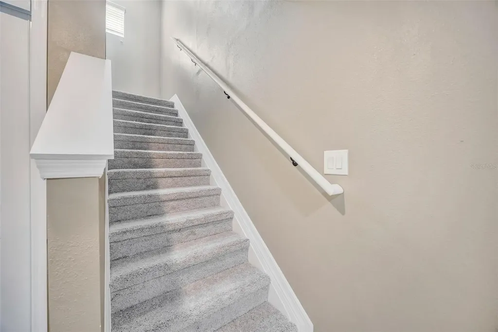 4526 Bay Spring Court Tampa FL 33611