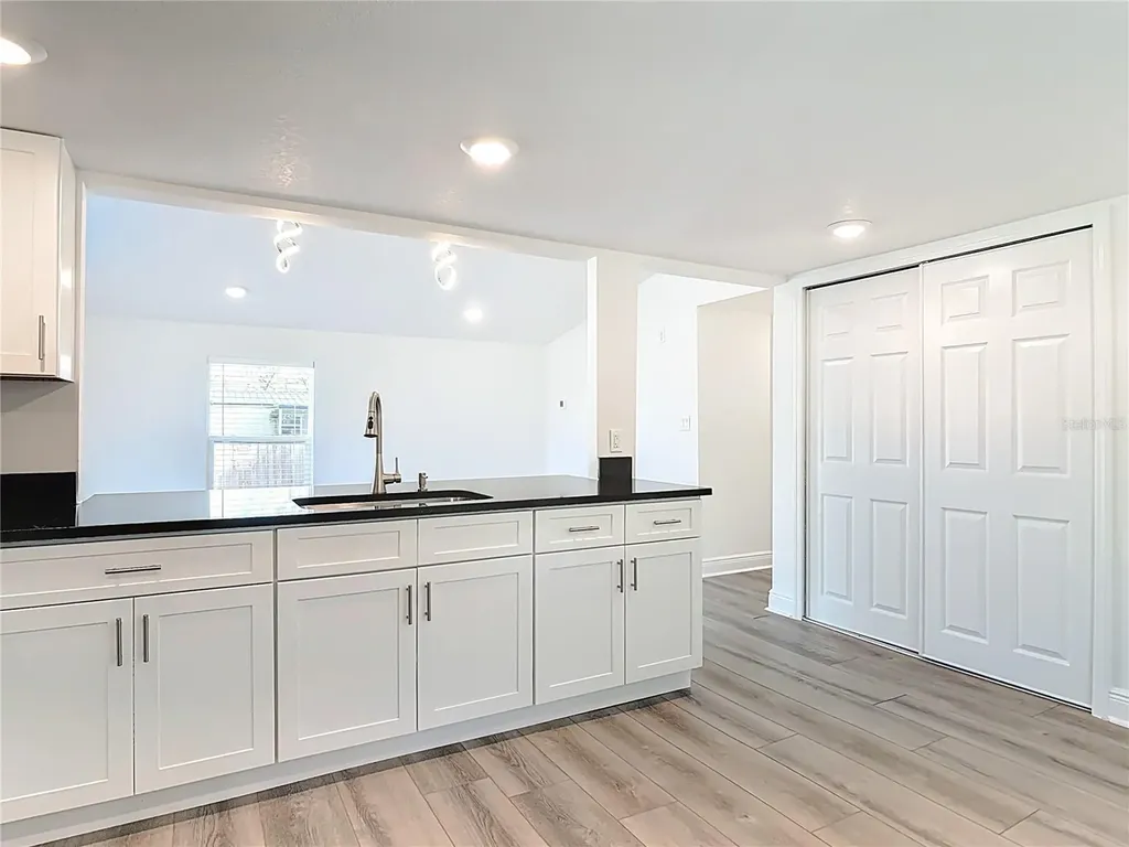 31700 Orange Street Sorrento FL 32776