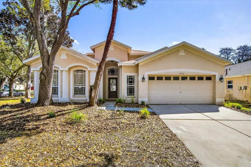 6002 Martinglade Place Lithia FL 33547