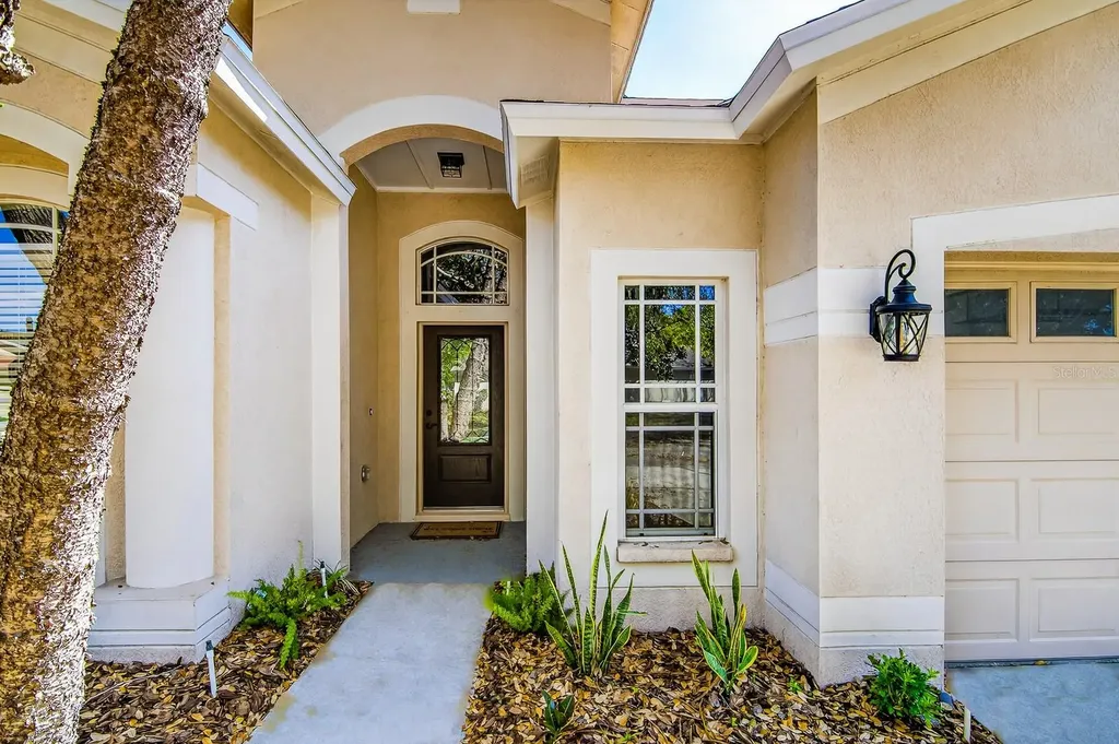 6002 Martinglade Place Lithia FL 33547
