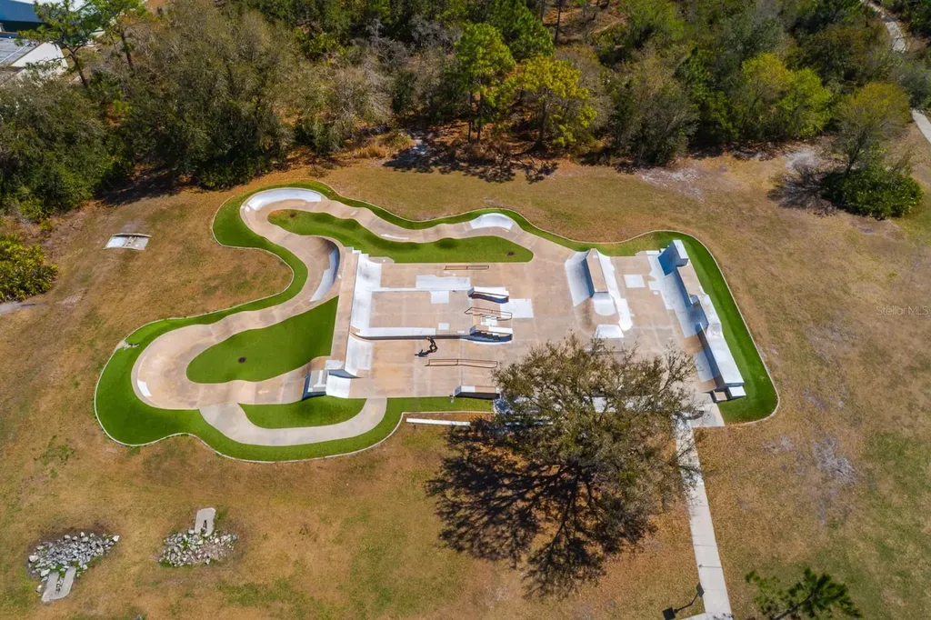 6002 Martinglade Place Lithia FL 33547