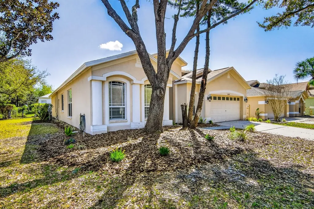 6002 Martinglade Place Lithia FL 33547
