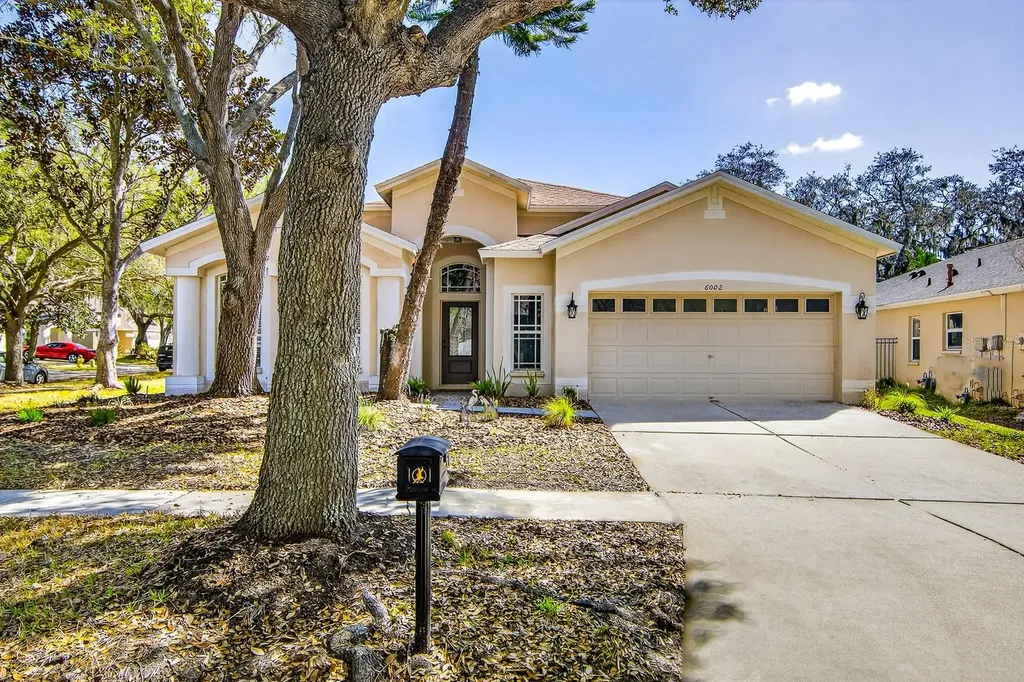 6002 Martinglade Place Lithia FL 33547