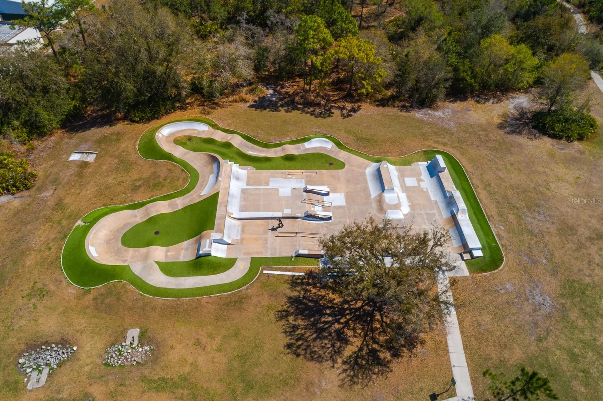 6002 Martinglade Place Lithia FL 33547