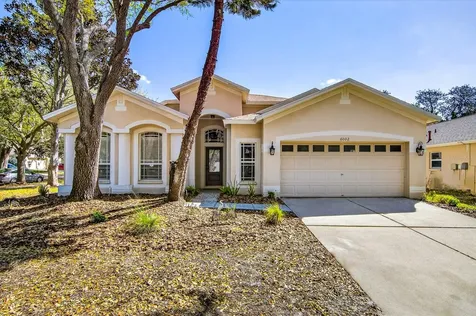 6002 Martinglade Place Lithia FL 33547