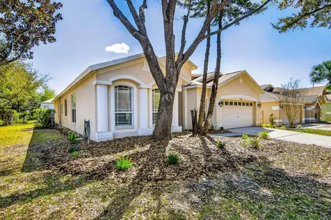 6002 Martinglade Place Lithia FL 33547