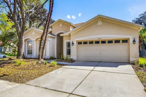 6002 Martinglade Place Lithia FL 33547
