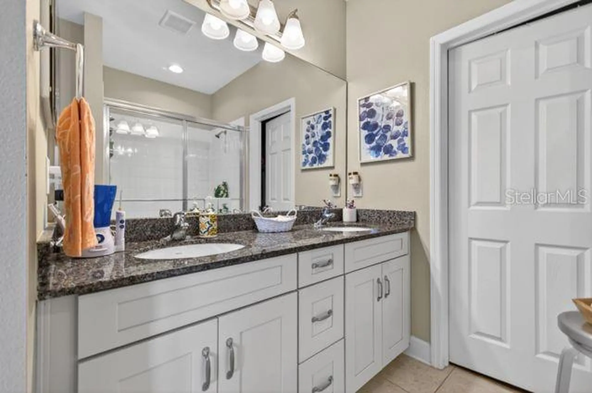 6905 Old Benton Drive Apollo Beach FL 33572