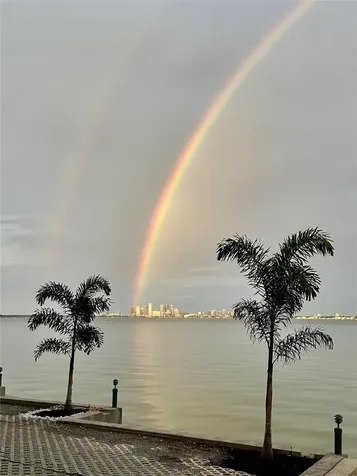 4950 Bayshore Boulevard Tampa FL 33611