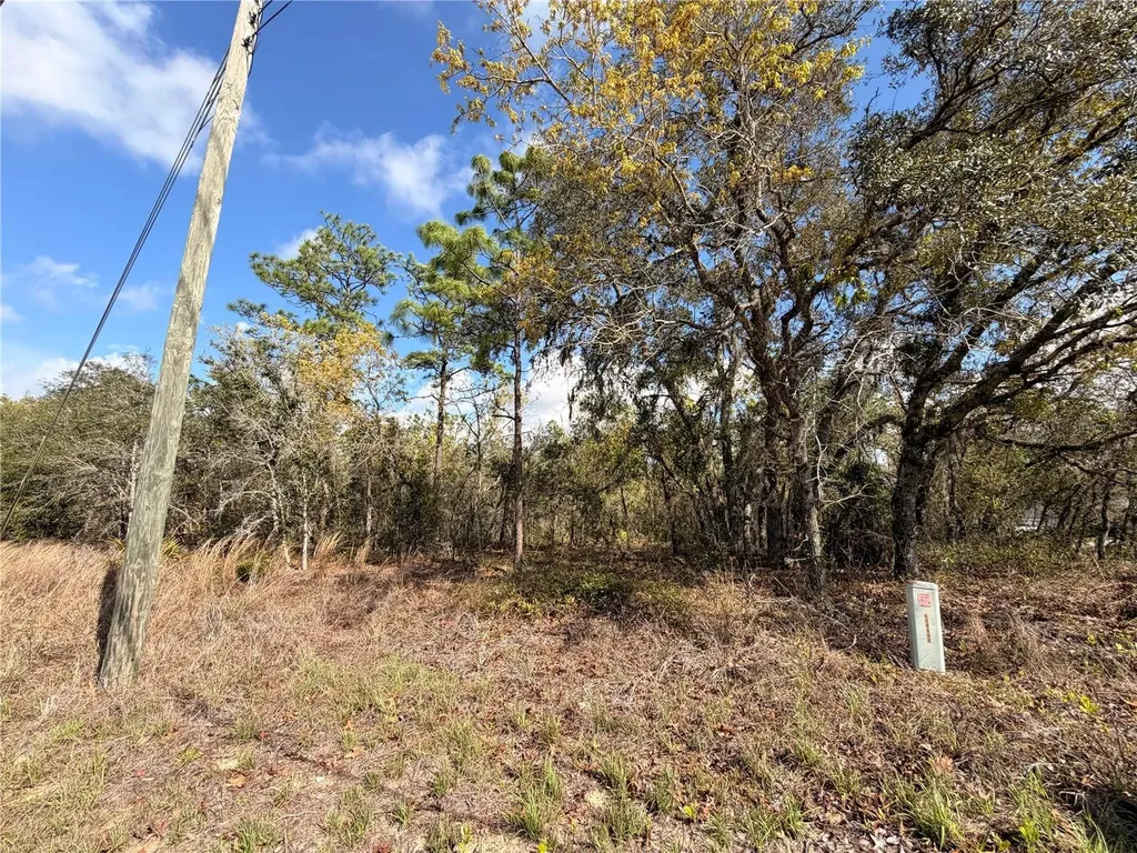 2 Linder Street Homosassa FL 34446