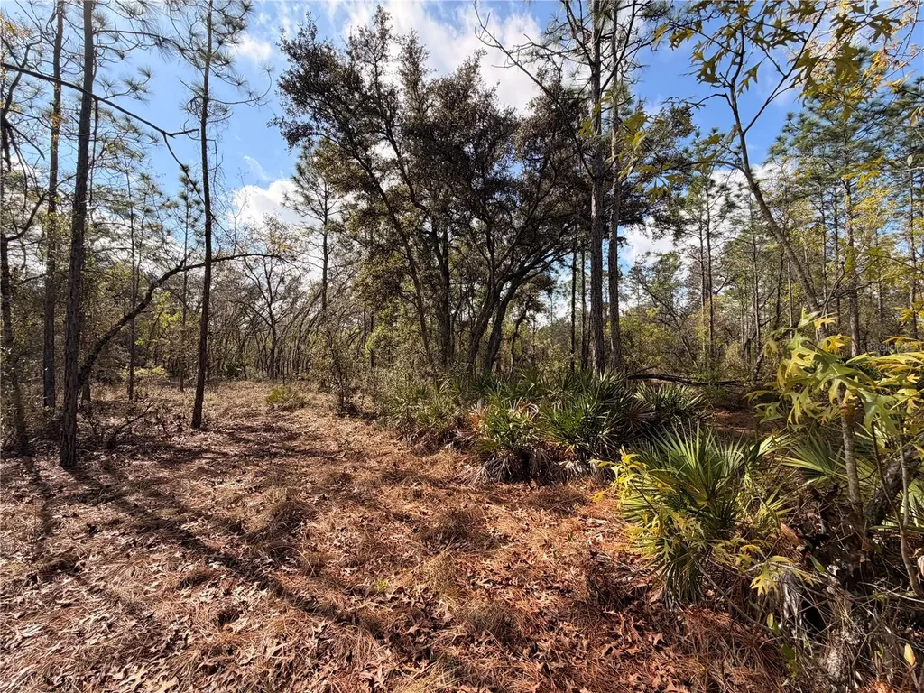 2 Linder Street Homosassa FL 34446