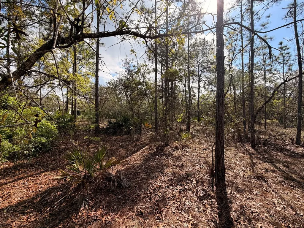 2 Linder Street Homosassa FL 34446