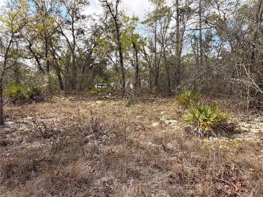 2 Linder Street Homosassa FL 34446