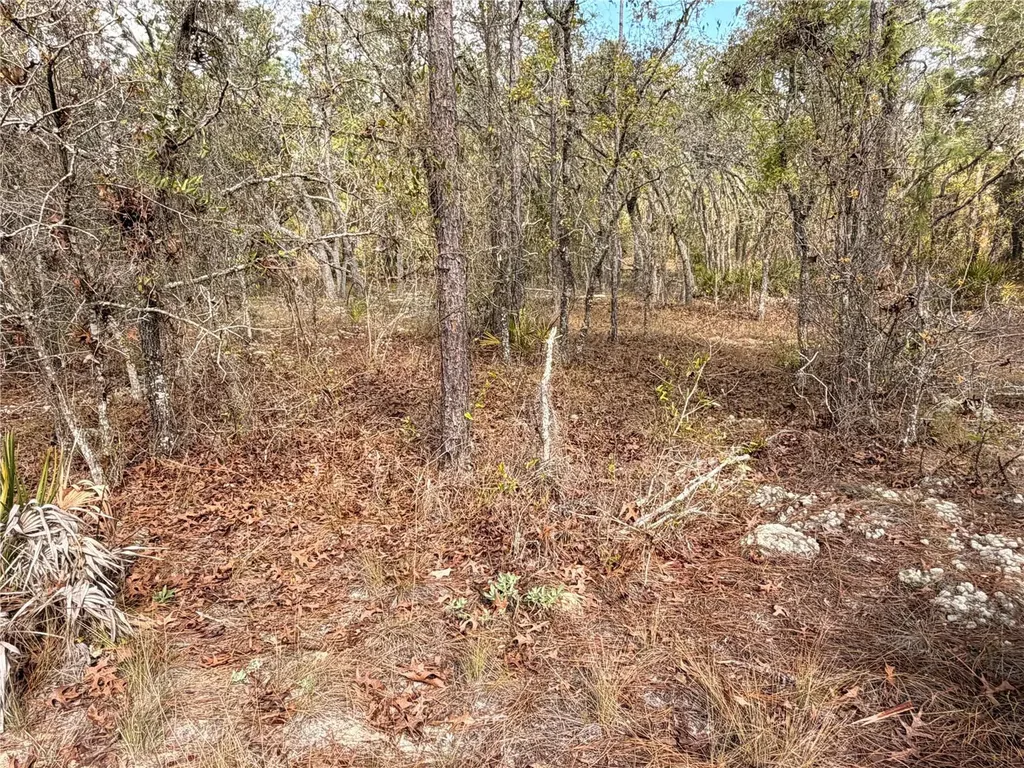 2 Linder Street Homosassa FL 34446