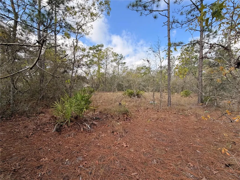 2 Linder Street Homosassa FL 34446