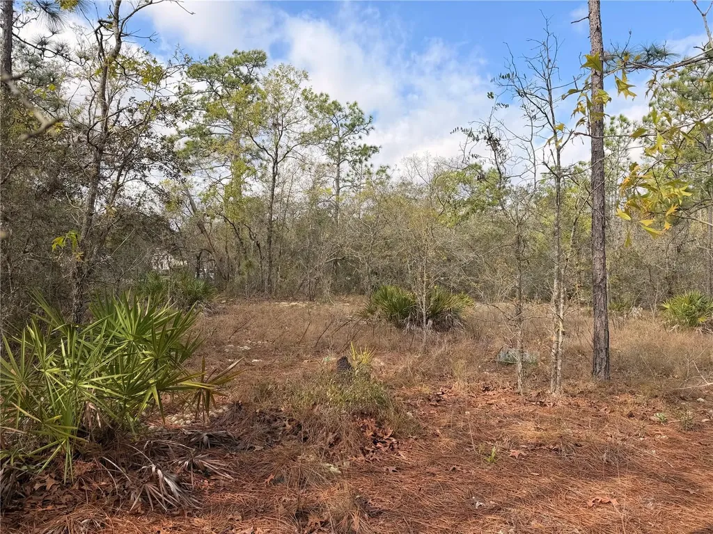2 Linder Street Homosassa FL 34446