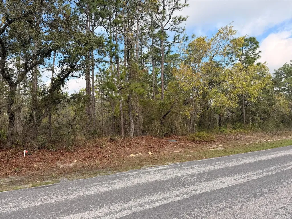 2 Linder Street Homosassa FL 34446
