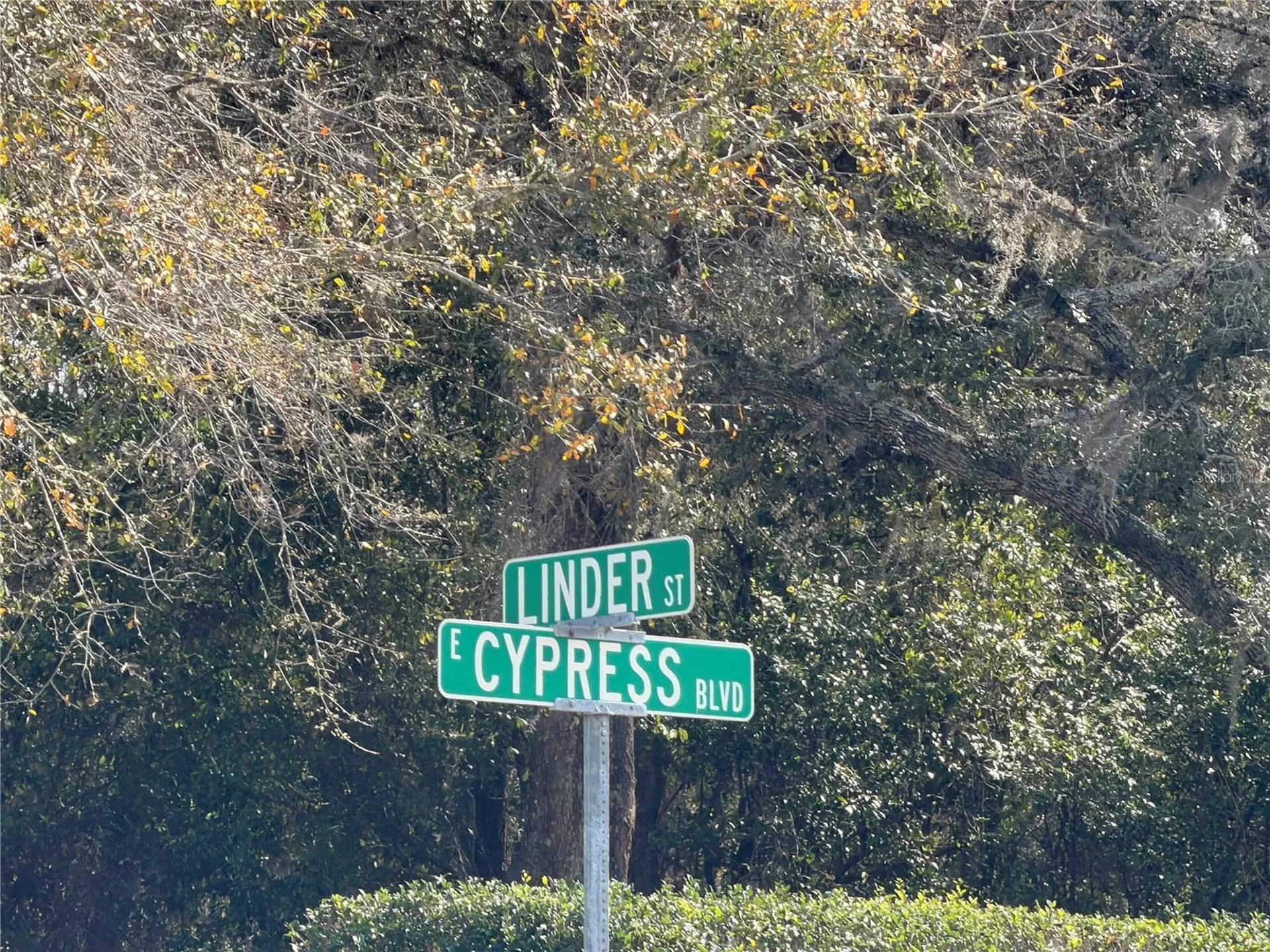 2 Linder Street Homosassa FL 34446