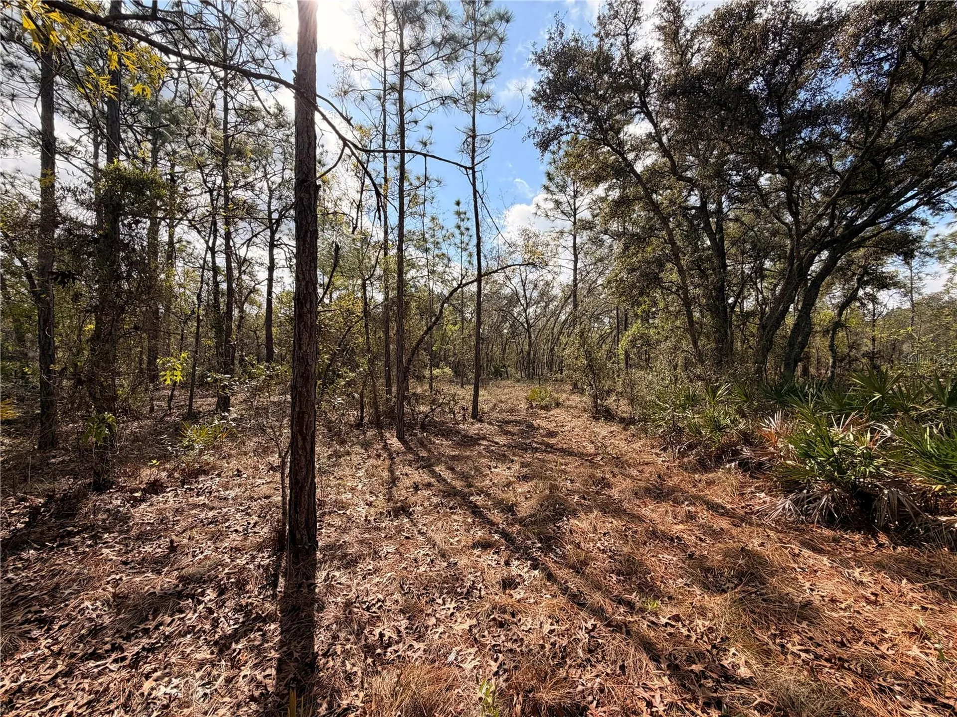 2 Linder Street Homosassa FL 34446