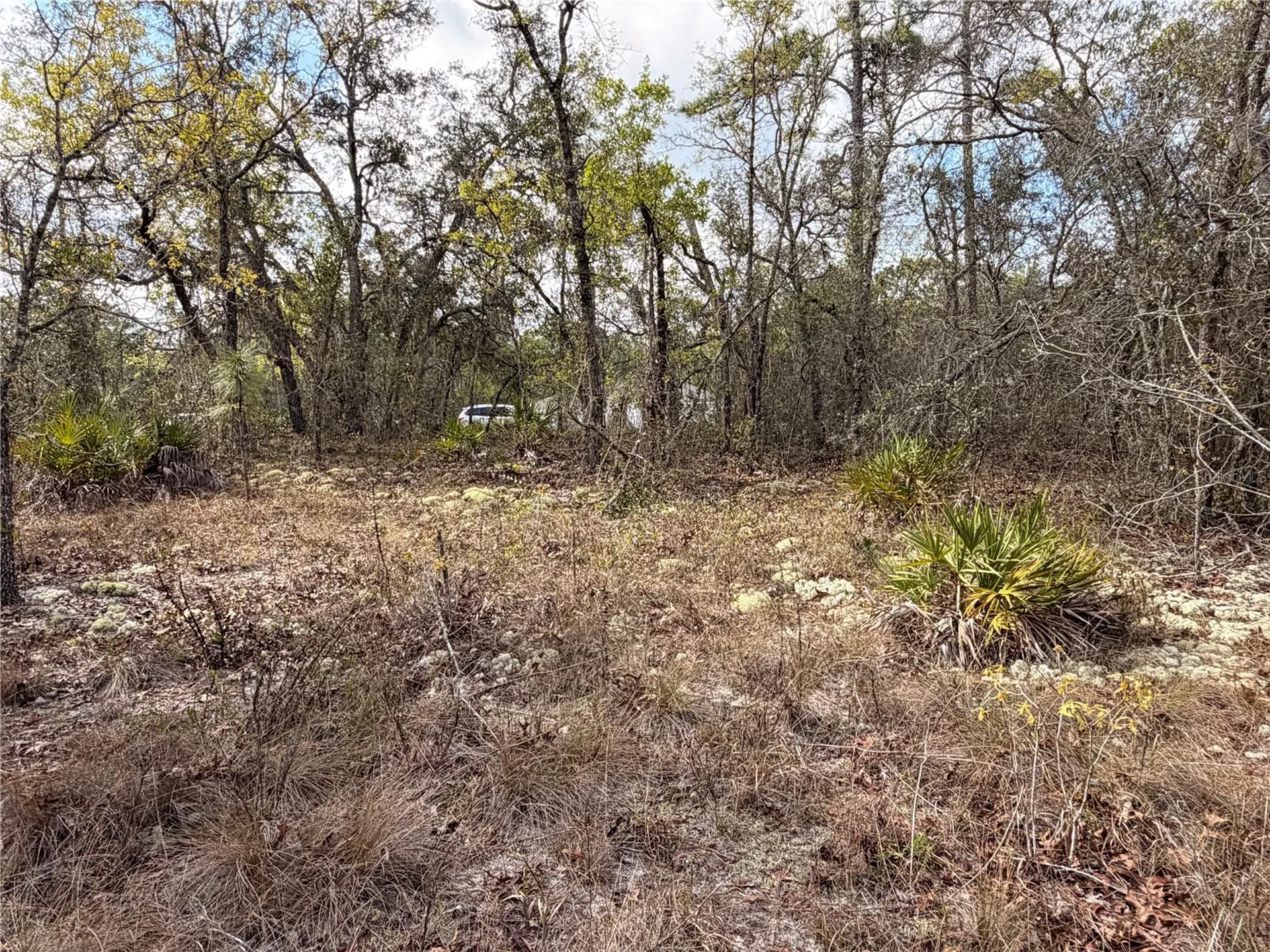 2 Linder Street Homosassa FL 34446