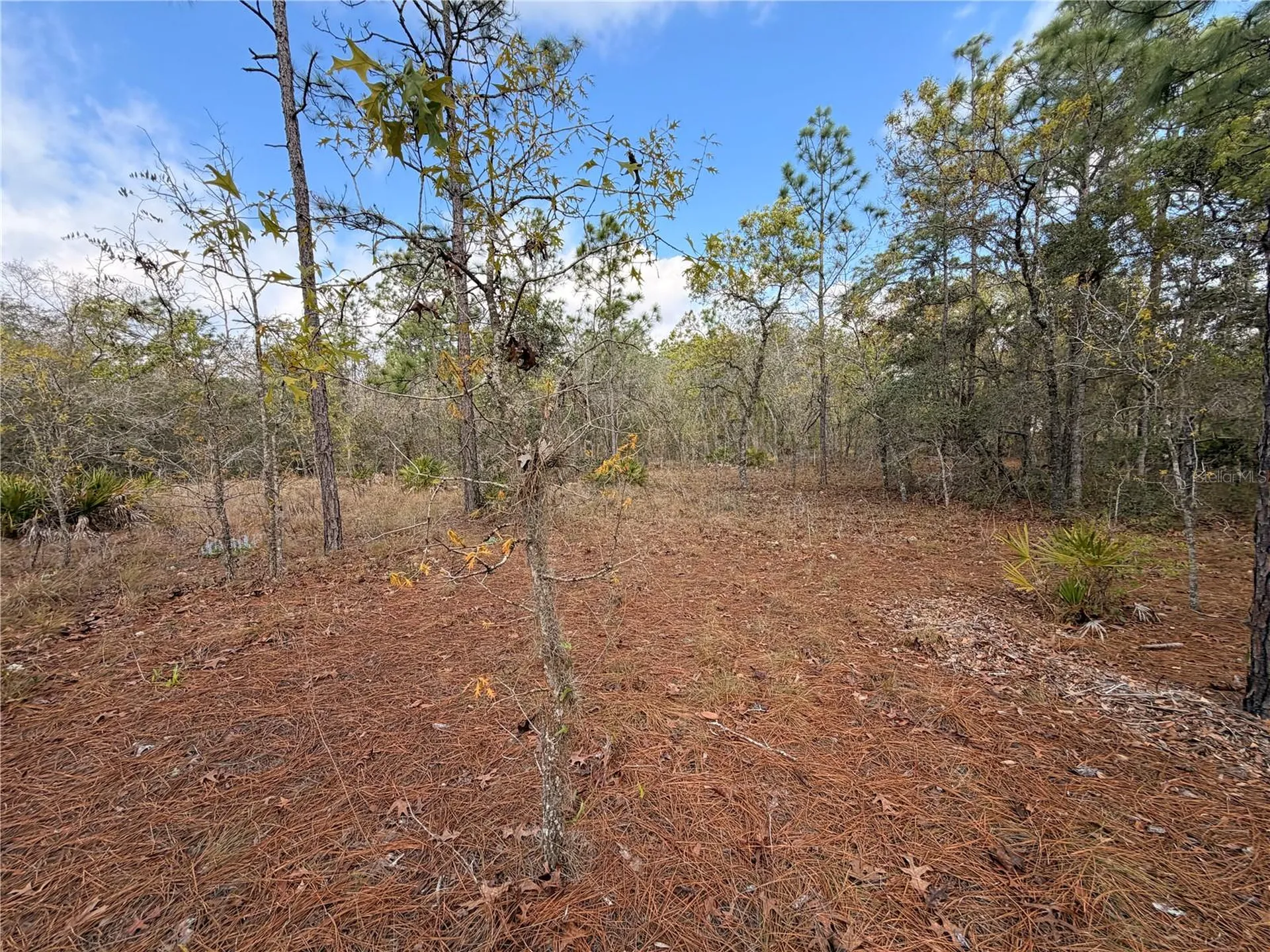 2 Linder Street Homosassa FL 34446