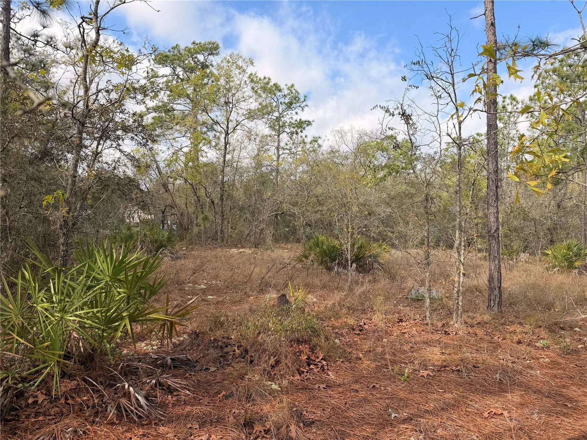 2 Linder Street Homosassa FL 34446