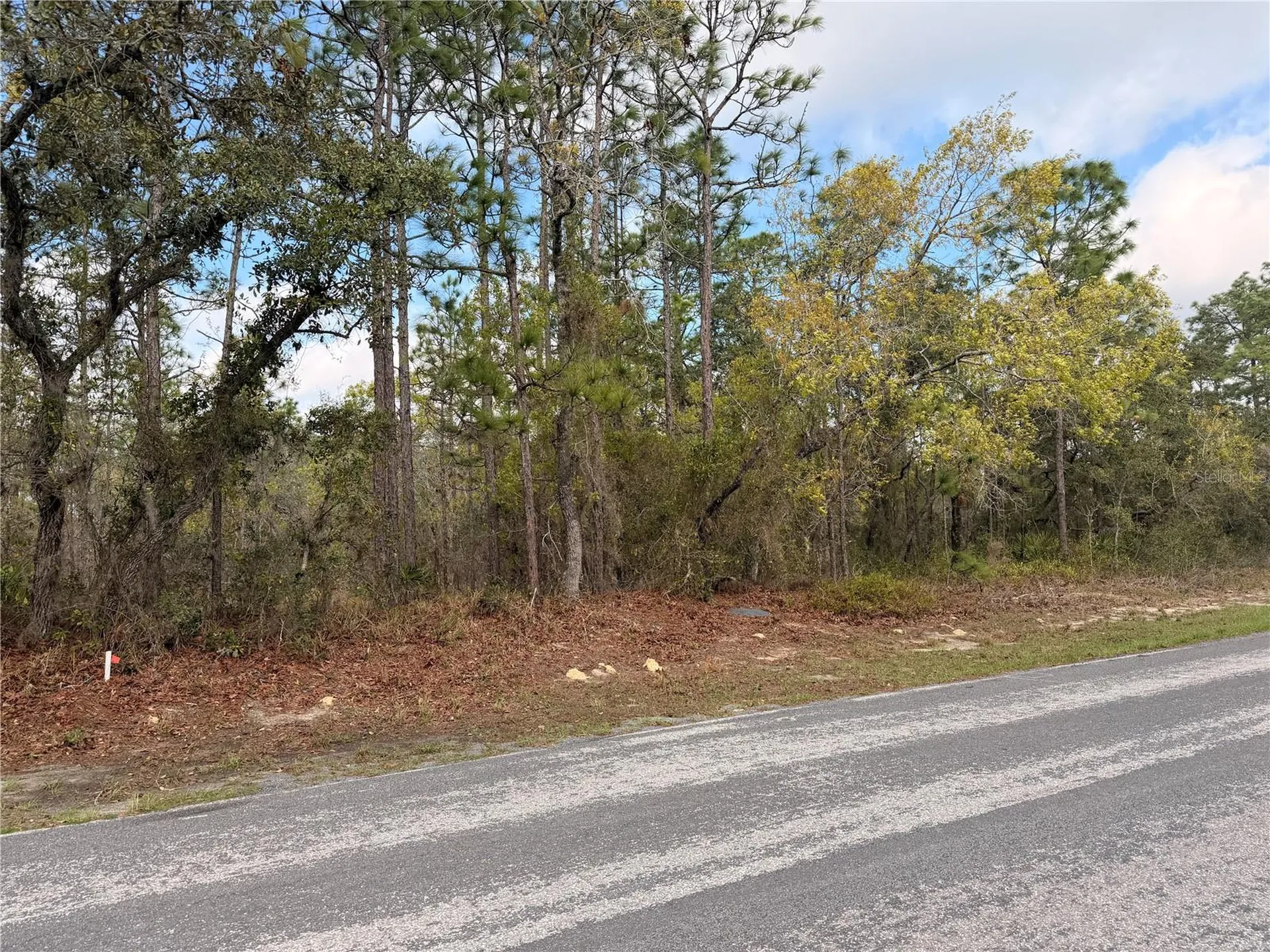 2 Linder Street Homosassa FL 34446