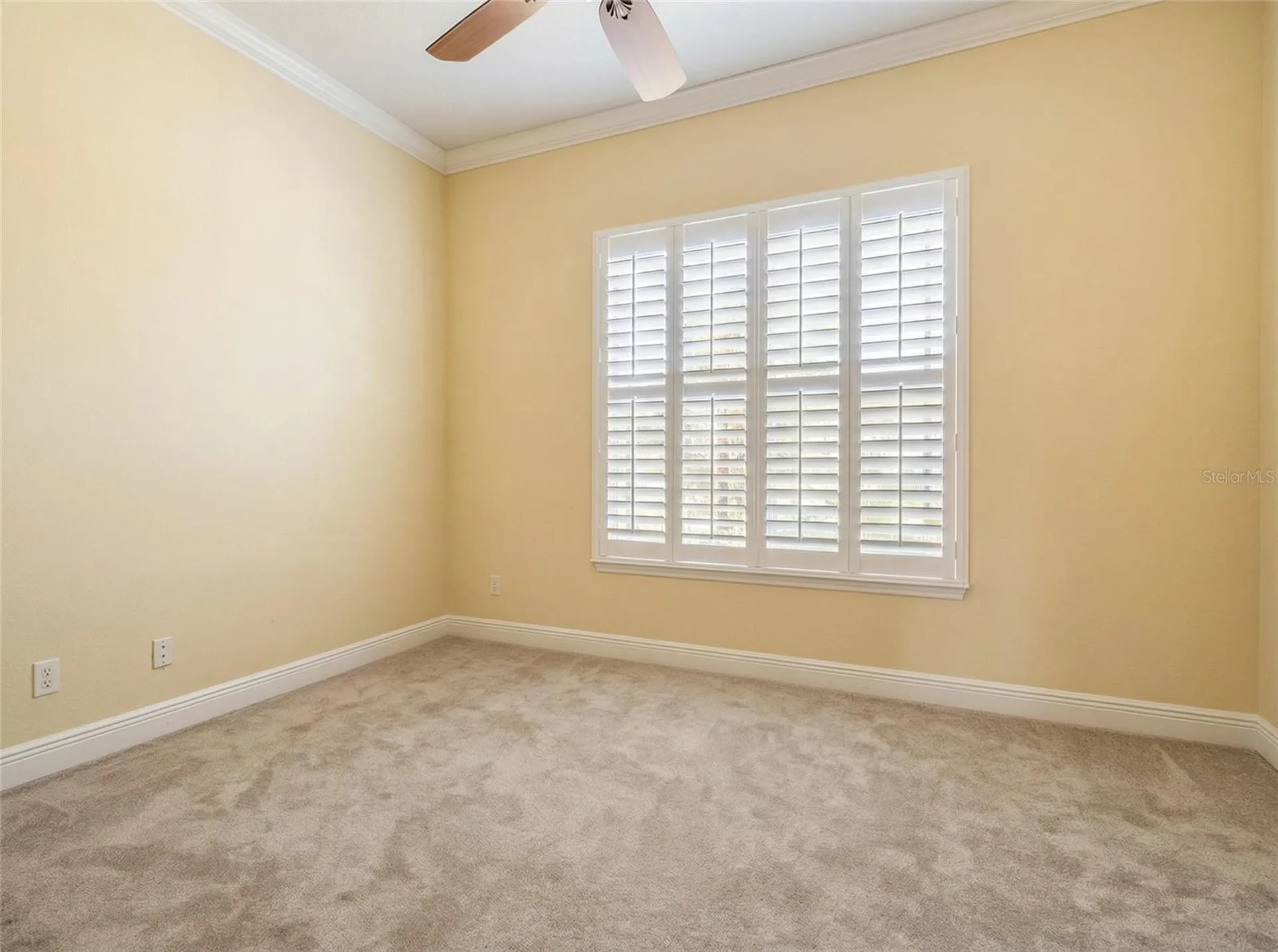 2101 N Pointe Alexis Drive Tarpon Springs FL 34689