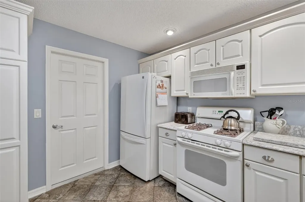 1107 Pelion Place The Villages FL 32162