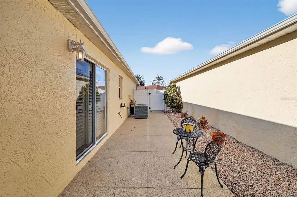 1107 Pelion Place The Villages FL 32162