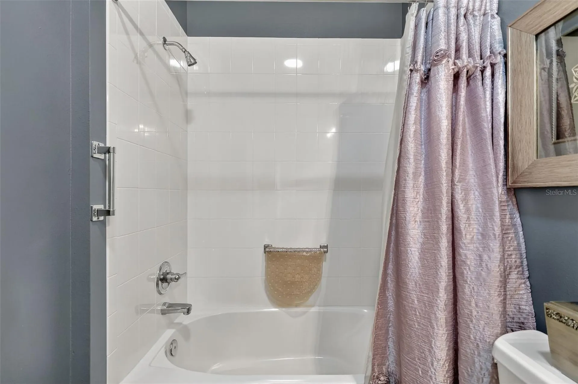 1107 Pelion Place The Villages FL 32162