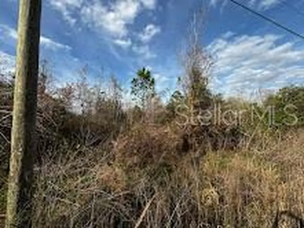 4125 Quail Nest Lane New Smyrna Beach FL 32168