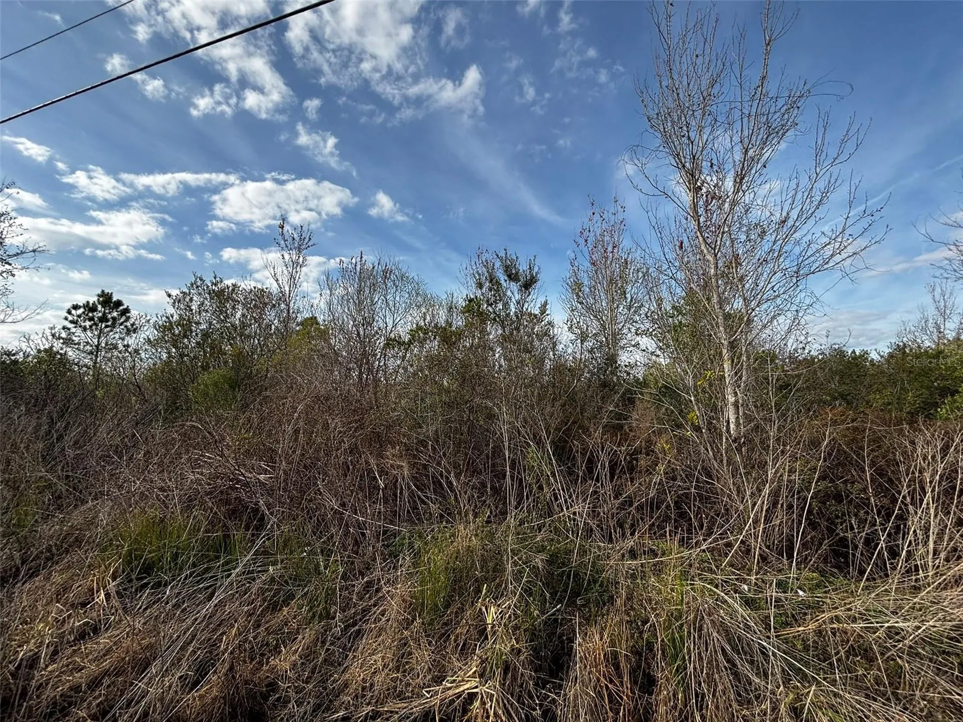 4125 Quail Nest Lane New Smyrna Beach FL 32168