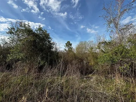 4125 Quail Nest Lane New Smyrna Beach FL 32168