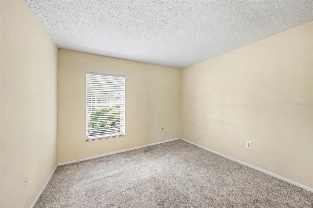 14319 Hanging Moss Circle Tampa FL 33613
